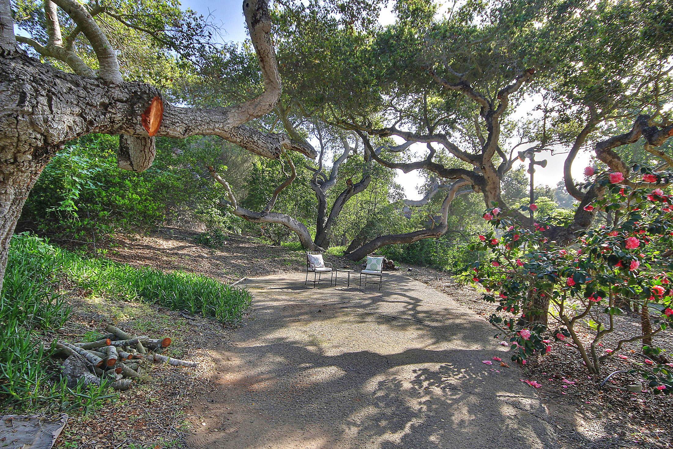 919 Canon Road Santa Barbara, CA 93110 - Photo 7 of 26 919 Canon-Birch van Seenus-9