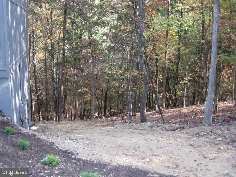 318 Anderson Road Basye, VA 22842 - Photo 38 of 50