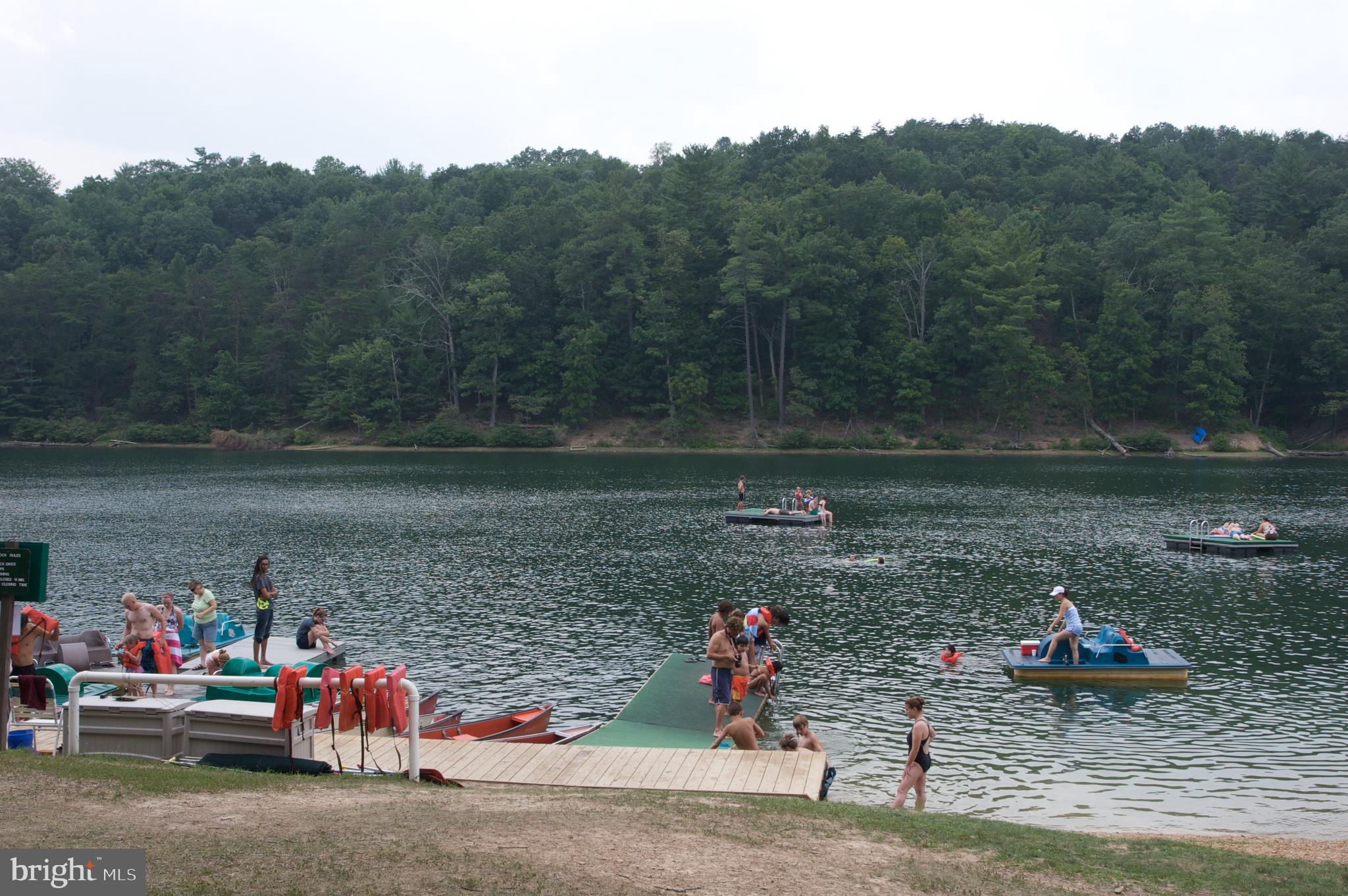 318 Anderson Road Basye, VA 22842 - Photo 45 of 50 Beautiful Lake Laura...SO much Summer FUN!