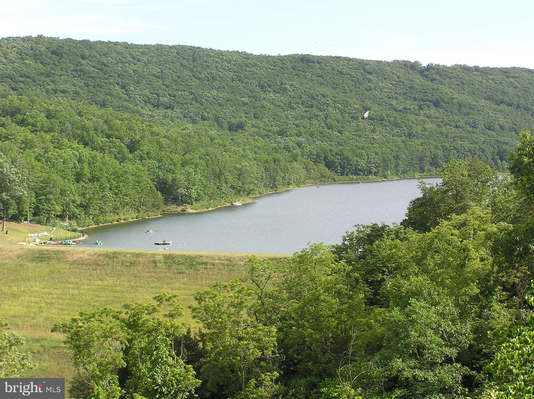 318 Anderson Road Basye, VA 22842 - Photo 46 of 50 Lake Laura