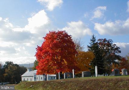 318 Anderson Road Basye, VA 22842 - Photo 50 of 50 Autumn in the Valley is GORGEOUS!!