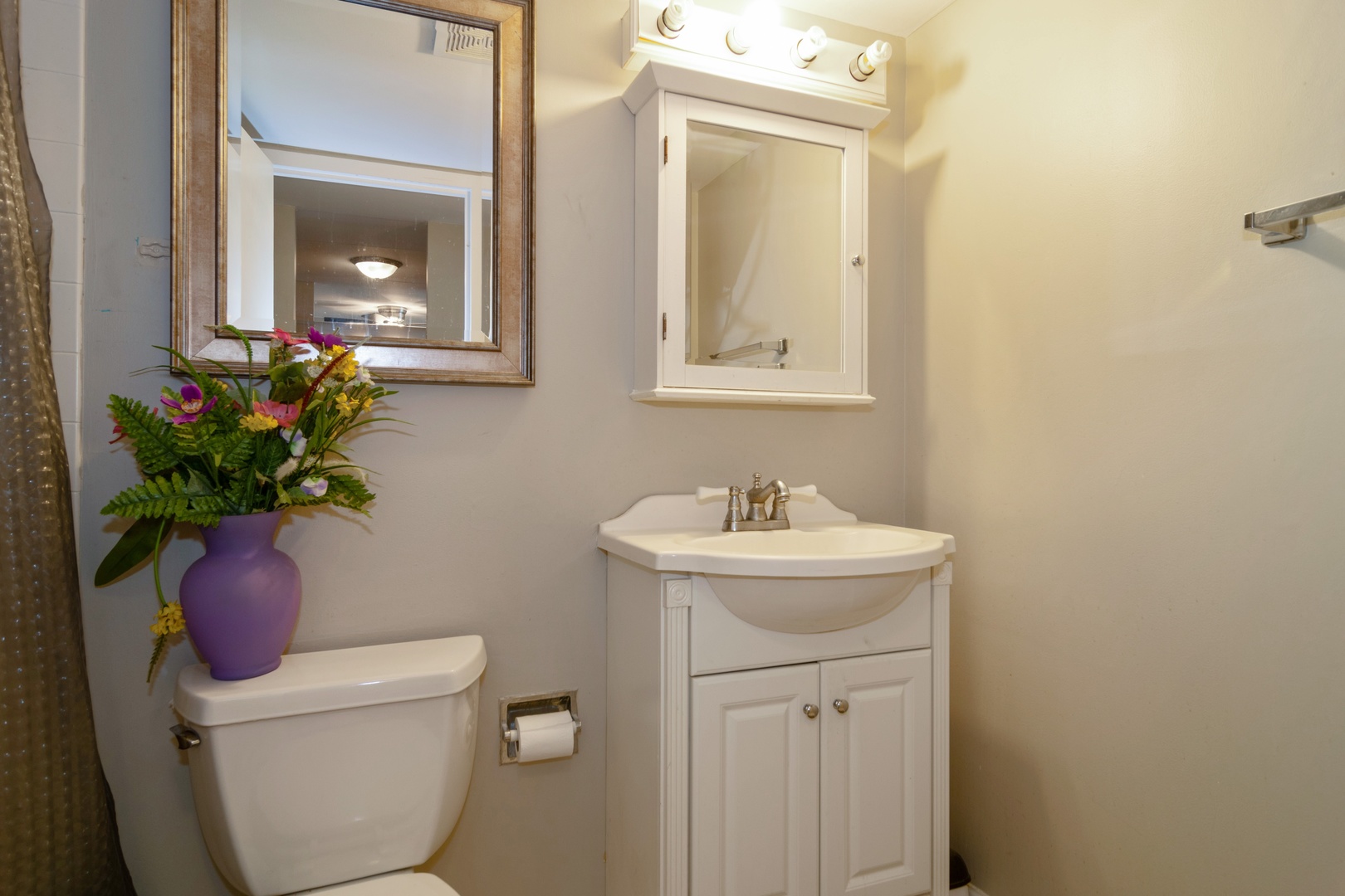 300 South Roselle Road, Unit 319 Schaumburg, IL 60193 - Photo 8 of 11 a bathroom with a toilet sink and mirror