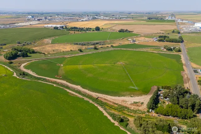 a view of a field with lawn chairs and large trees