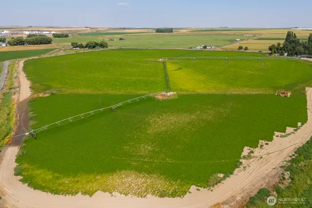 a view of a field with an ocean
