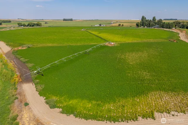 a view of an ocean and beach