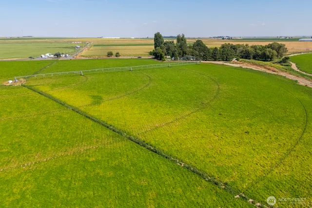 a view of a field with an ocean