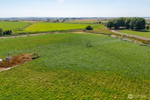 a view of an ocean and beach