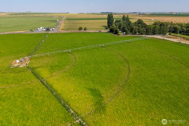 a view of an ocean and beach