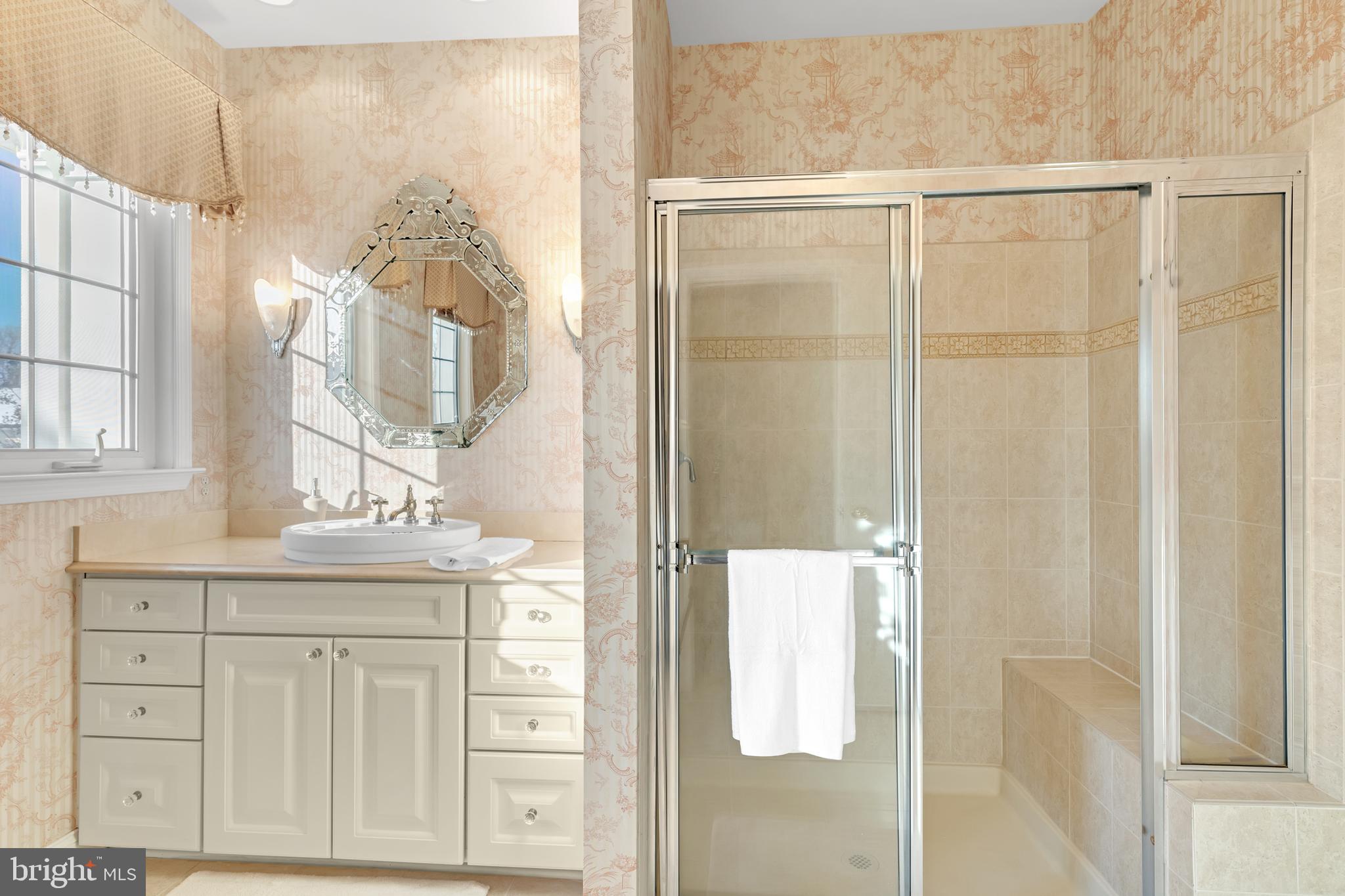 8781 Endless Ocean Way, Unit 58 Columbia, MD 21045 - Photo 40 of 74 a bathroom with a shower and a sink