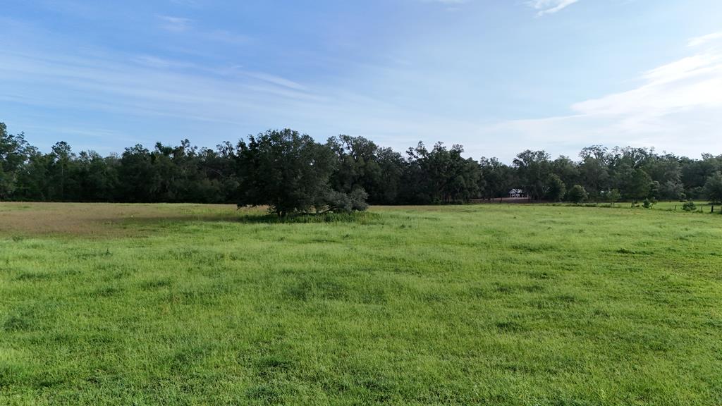 Vacant 145th Road Live Oak, FL 32060 - Photo 20 of 42