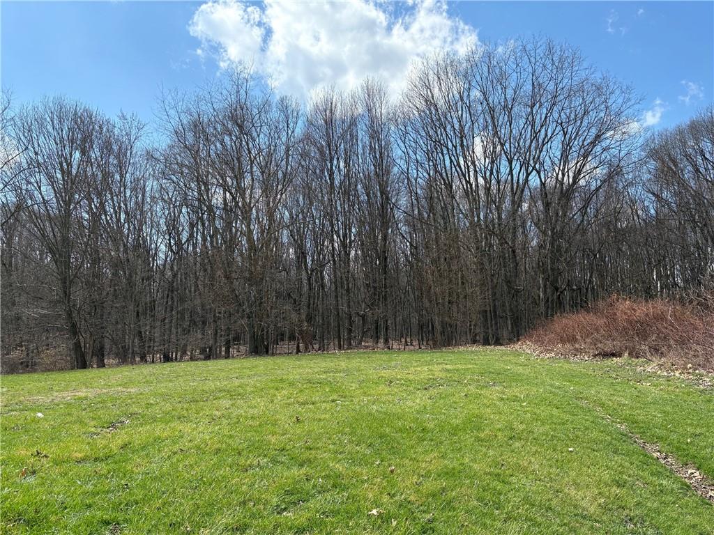 a view of outdoor space with a garden