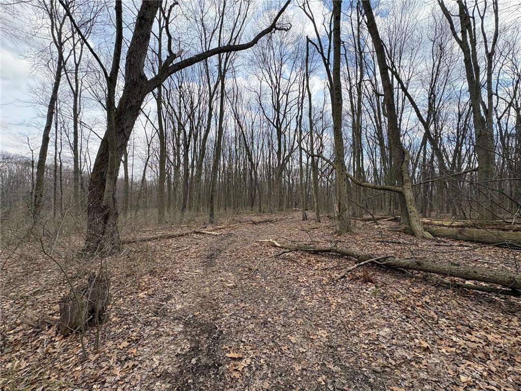 0 Orangeville Road Hermitage, PA 15853 - Photo 3 of 8 a backyard of a house with lots of green space