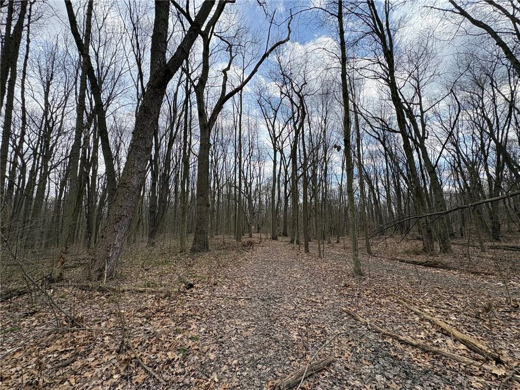 0 Orangeville Road Hermitage, PA 15853 - Photo 5 of 8 a view of backyard with green space