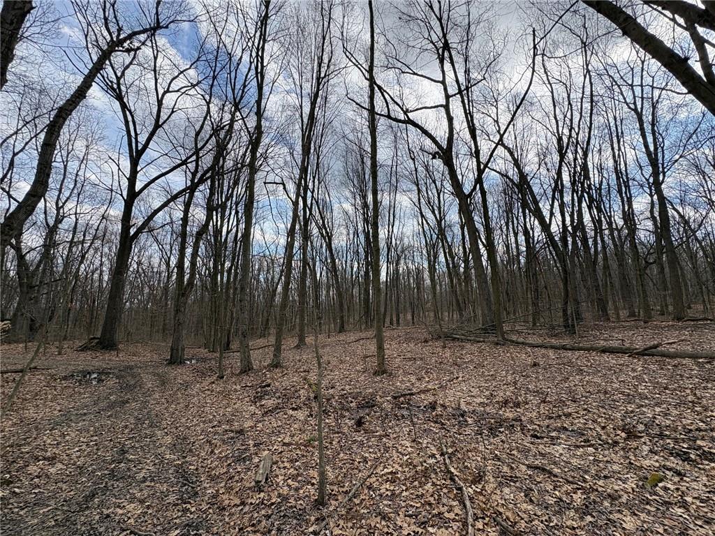 0 Orangeville Road Hermitage, PA 15853 - Photo 6 of 8 a view of a backyard with trees