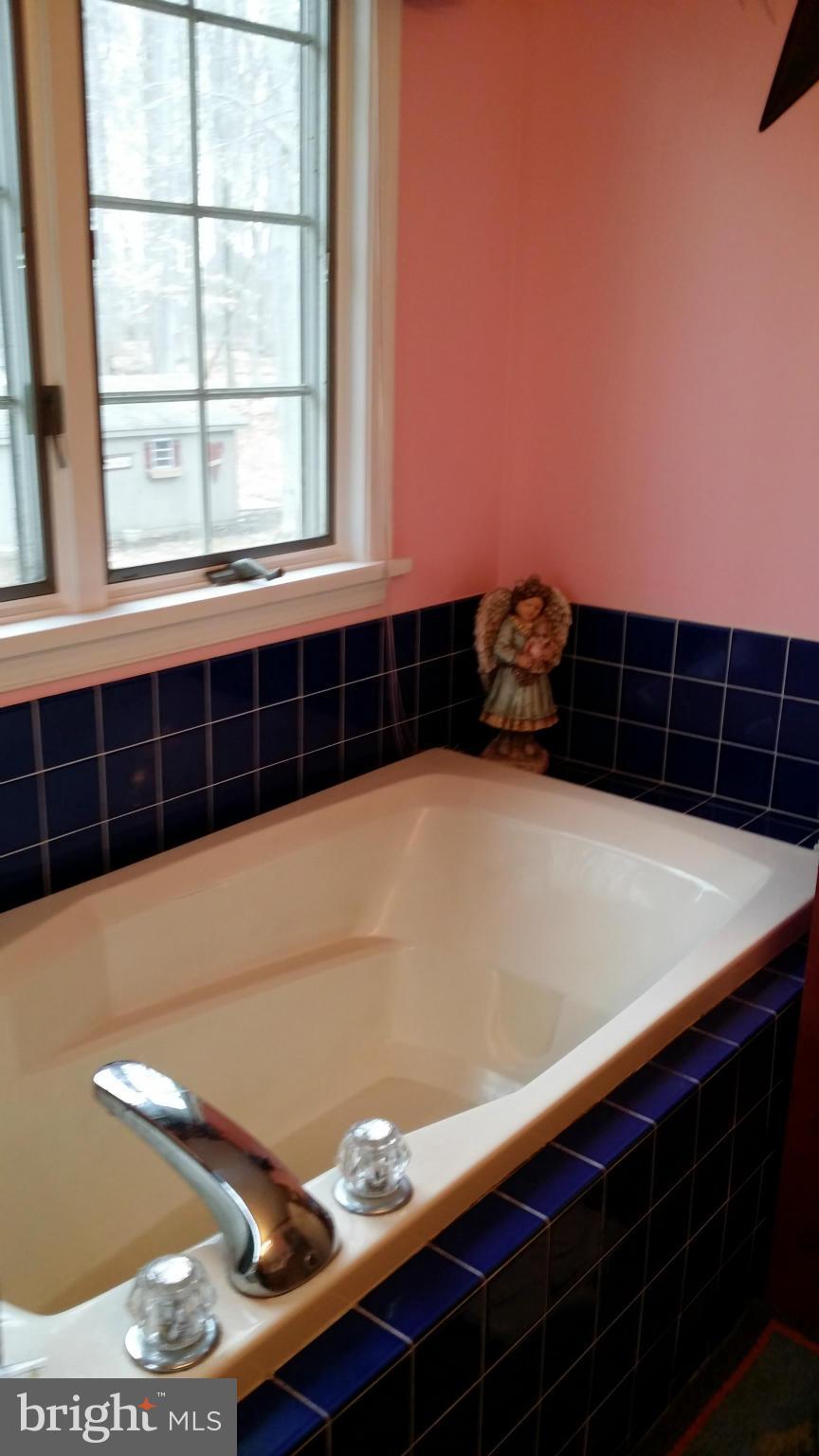 17 Hamer Road Elkton, MD 21921 - Photo 30 of 30 Bath (Master)