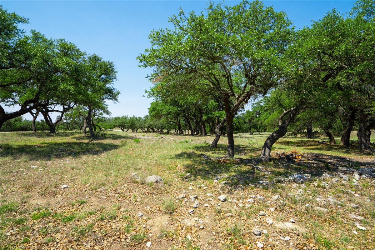 7890 Highway 290 Dripping Springs, TX 78620 - Photo 30 of 33