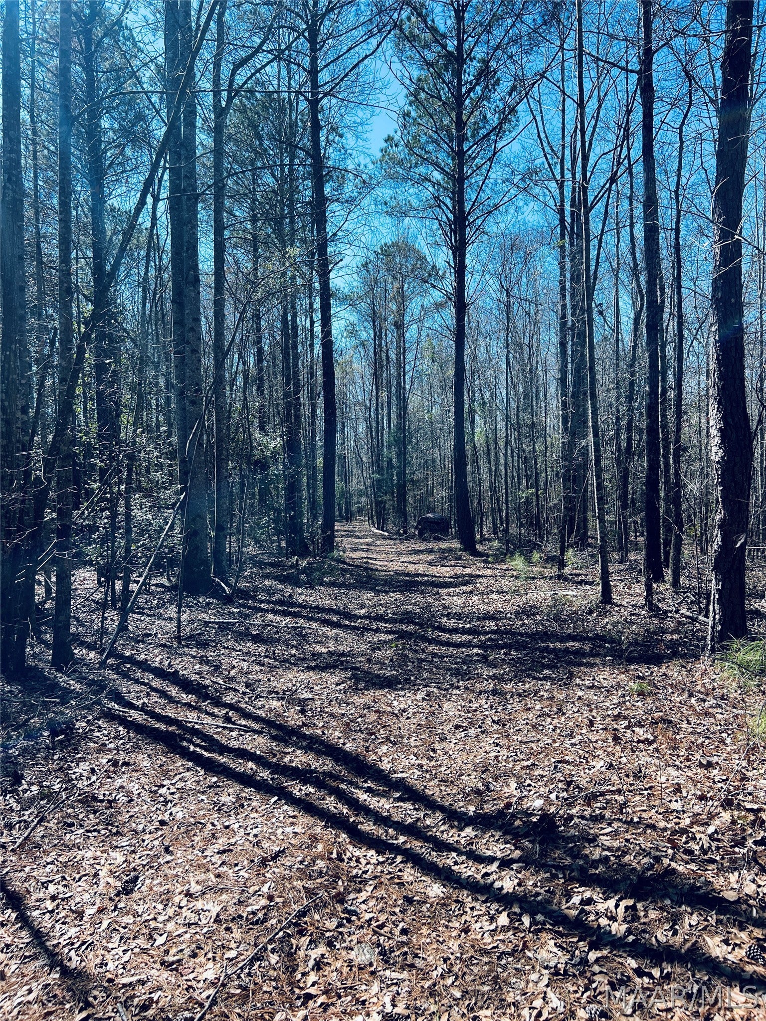 0 Old Meriwether Trail Lapine, AL 36046 - Photo 9 of 25 Gallery Image 9