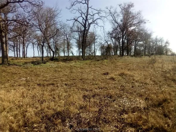 $129,500 | 1311 Centerville Tx 75833, Centerville, TX 75833