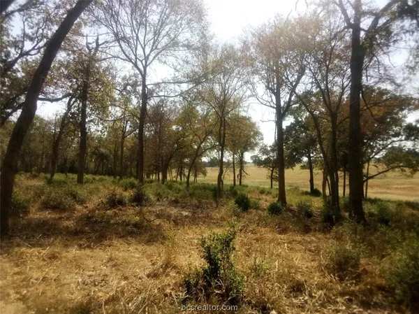 $129,500 | 1311 Centerville Tx 75833, Centerville, TX 75833