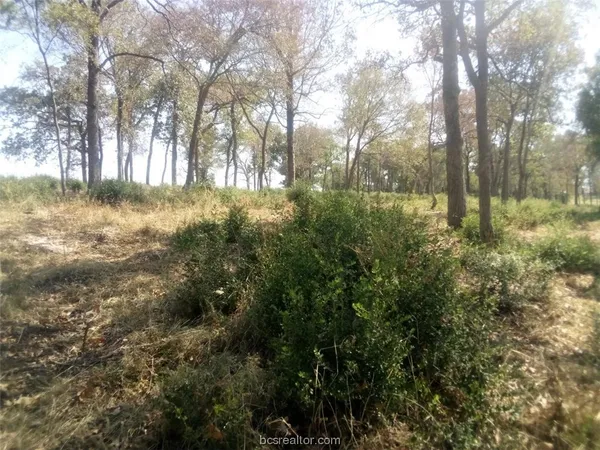$129,500 | 1311 Centerville Tx 75833, Centerville, TX 75833