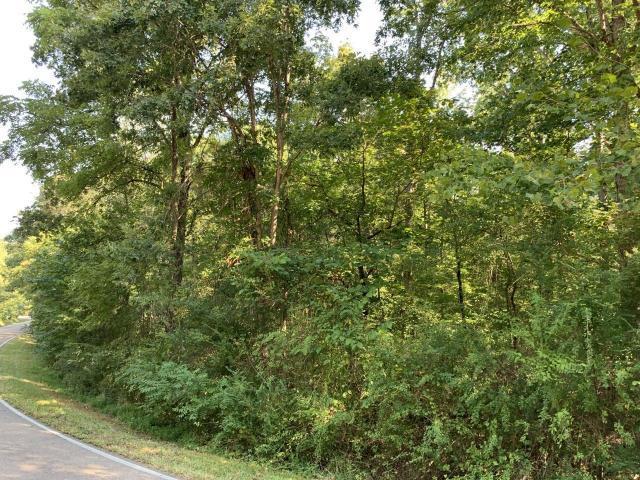 4659 Parker Loop Road Birchwood, TN 37308 - Photo 1 of 4 20190907213432537742000000-o