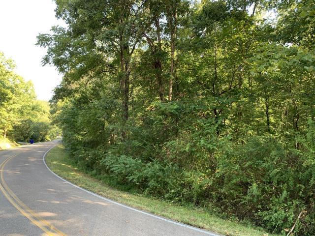 4659 Parker Loop Road Birchwood, TN 37308 - Photo 2 of 4 20190907213431029272000000-o