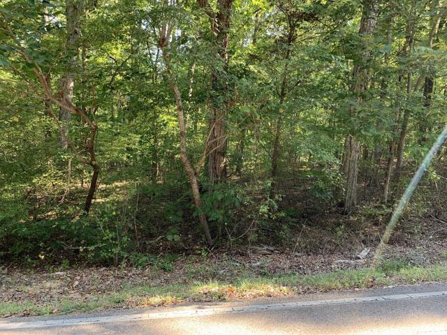 4659 Parker Loop Road Birchwood, TN 37308 - Photo 3 of 4 20190907213433775547000000-o