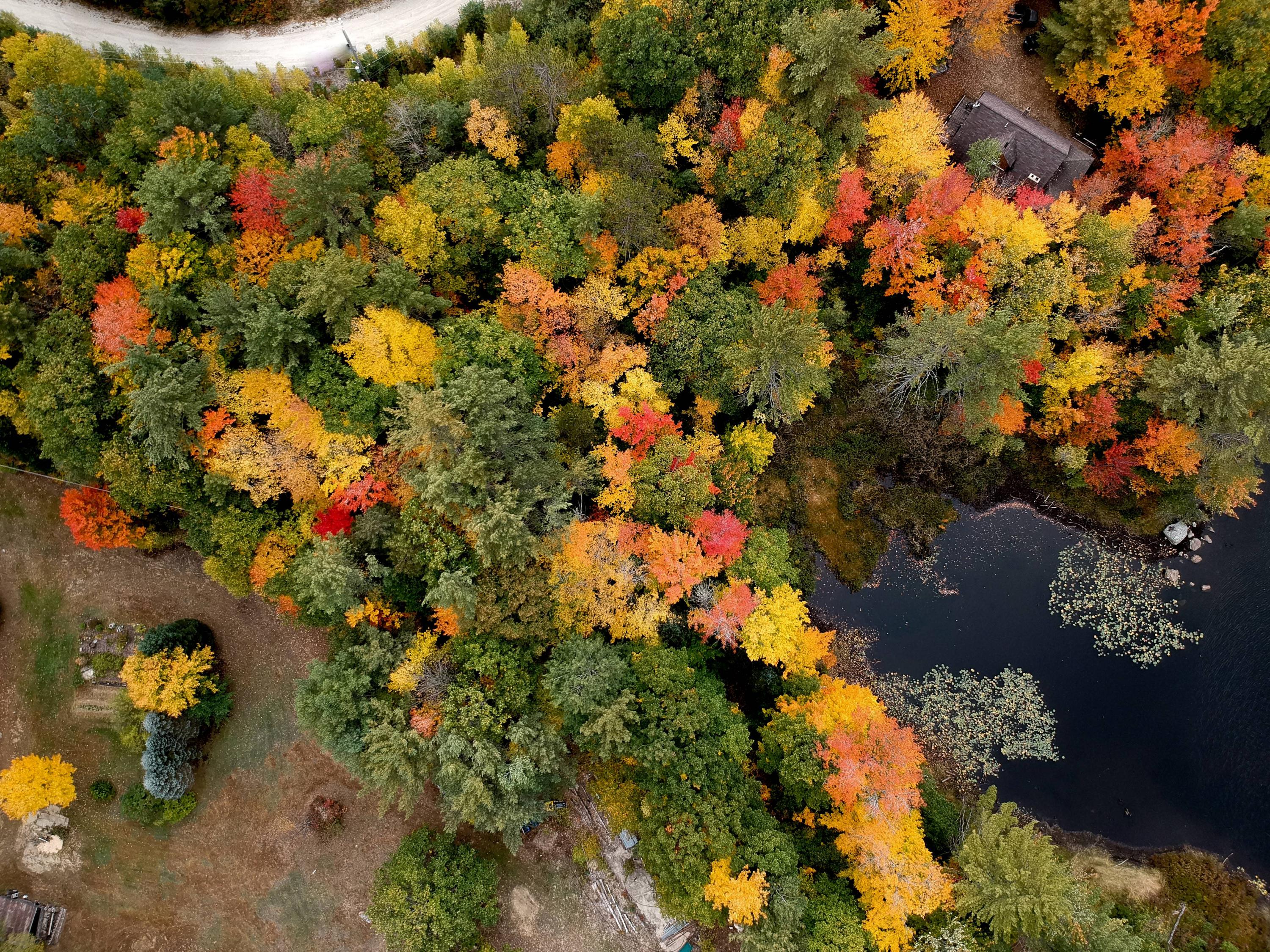 Lot 3 Goss Pond Road Bethel, ME 04217 - Photo 9 of 15 DJI_0387(2)