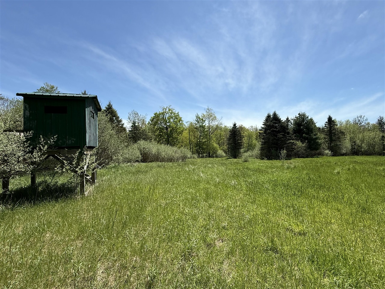 V/l Mcbride Road Stanton, MI 48888 - Photo 5 of 8