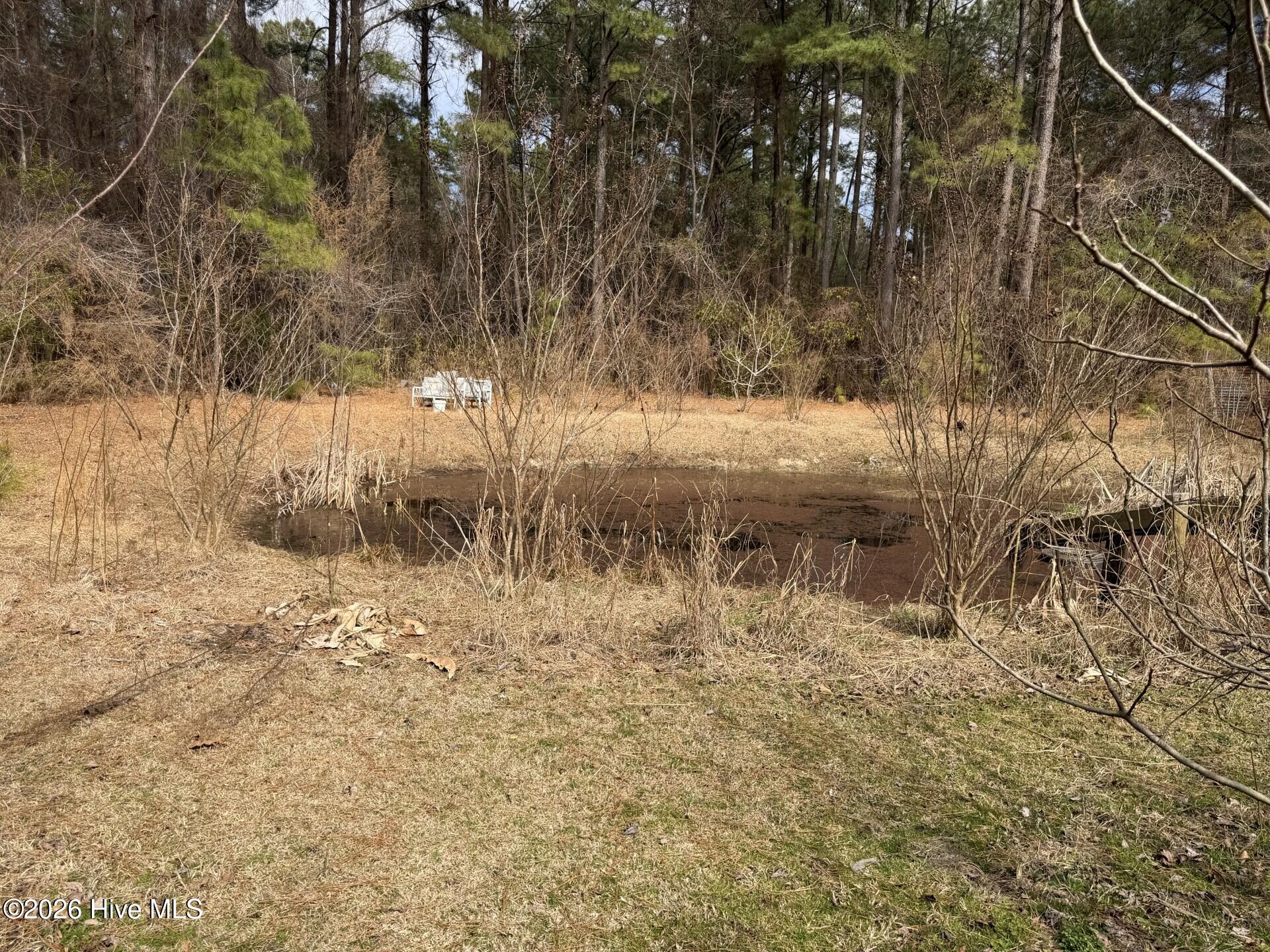 3414 Possum Hill Road Bath, NC 27808 - Photo 19 of 22 12256f8c-52c4-45da-a4c3-ad0126973a66