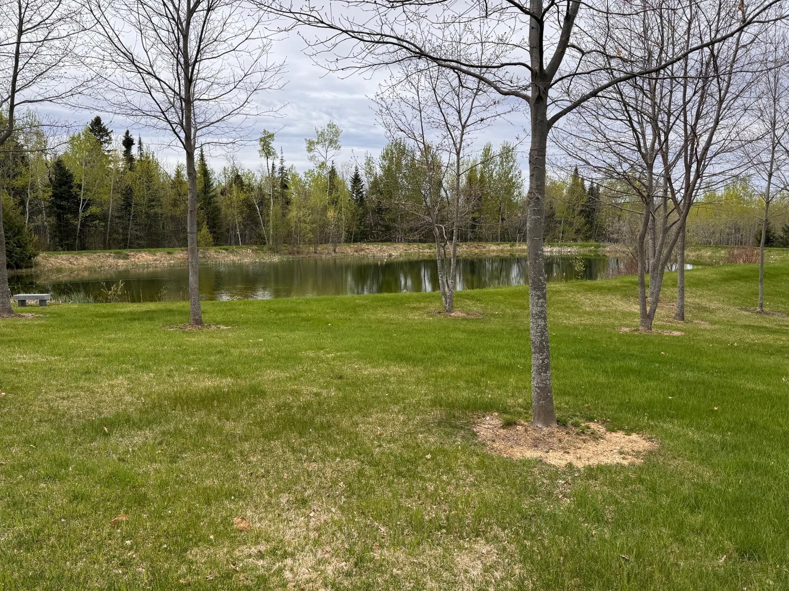 55 Niles Road Presque Isle, ME 04769 - Photo 21 of 80 Exterior