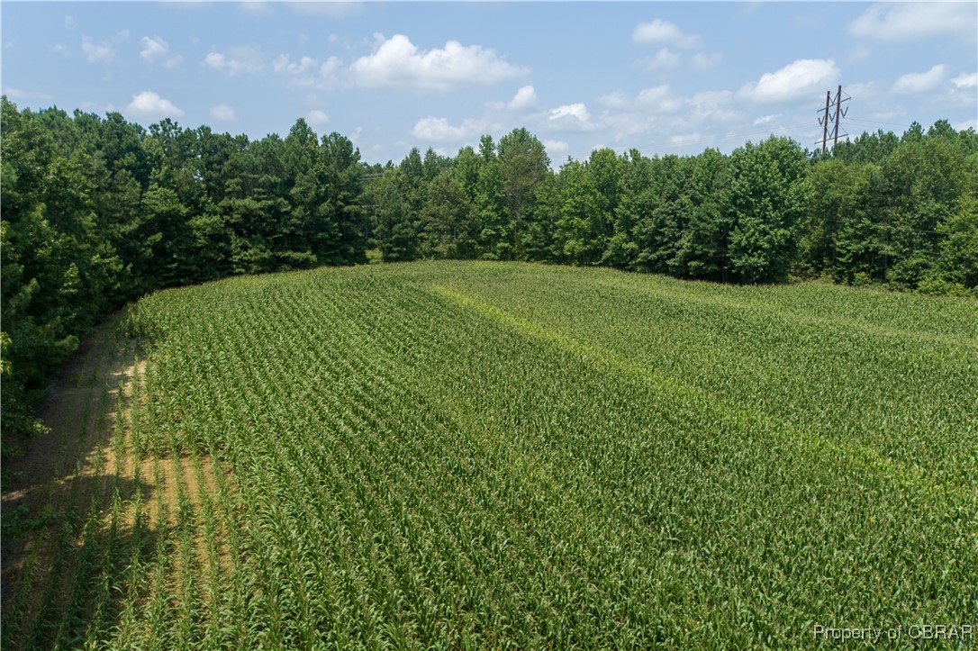 0 County Line Road Saluda, VA 23149 - Photo 35 of 36 Gallery Image 35