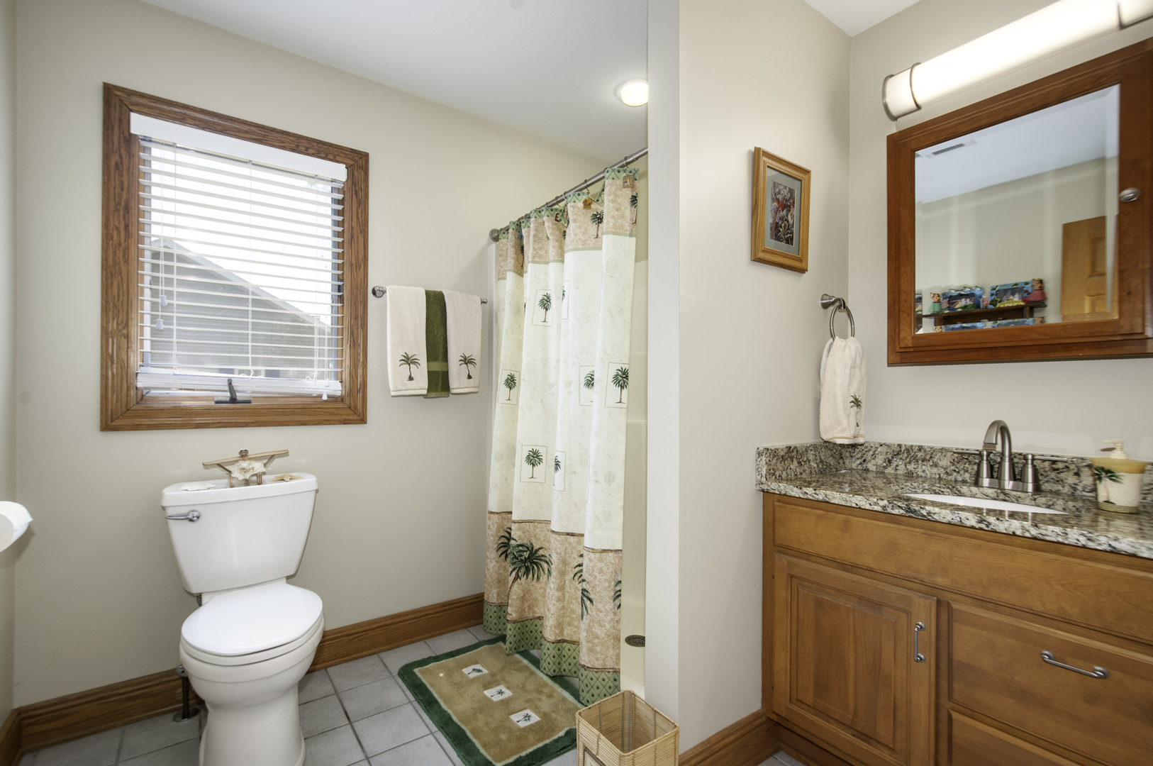 24738 South Walnut Street Elwood, IL 60421 - Photo 15 of 20 a bathroom with a toilet sink and mirror