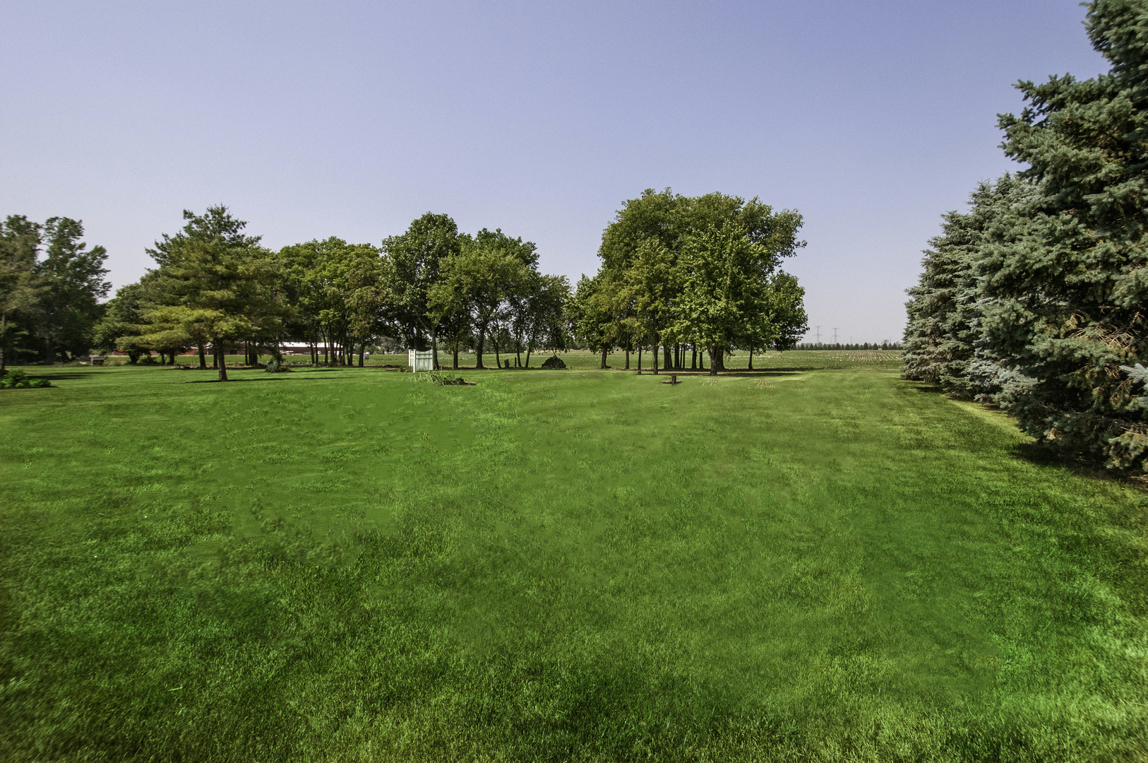 24738 South Walnut Street Elwood, IL 60421 - Photo 4 of 20 a view of a green field with trees in the background