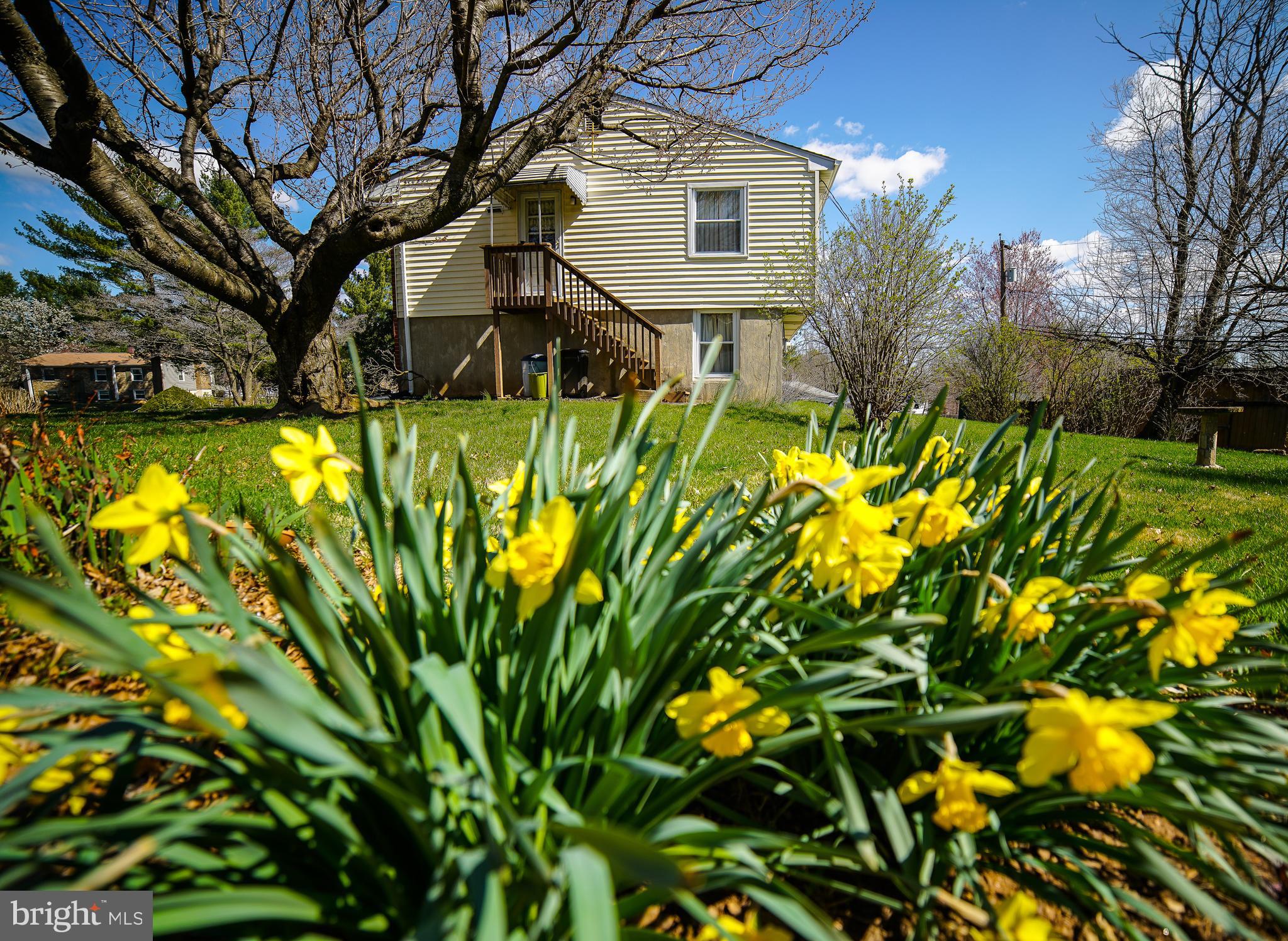 219 Northway Road Reisterstown, MD 21136 - Photo 12 of 47 Spring has sprung