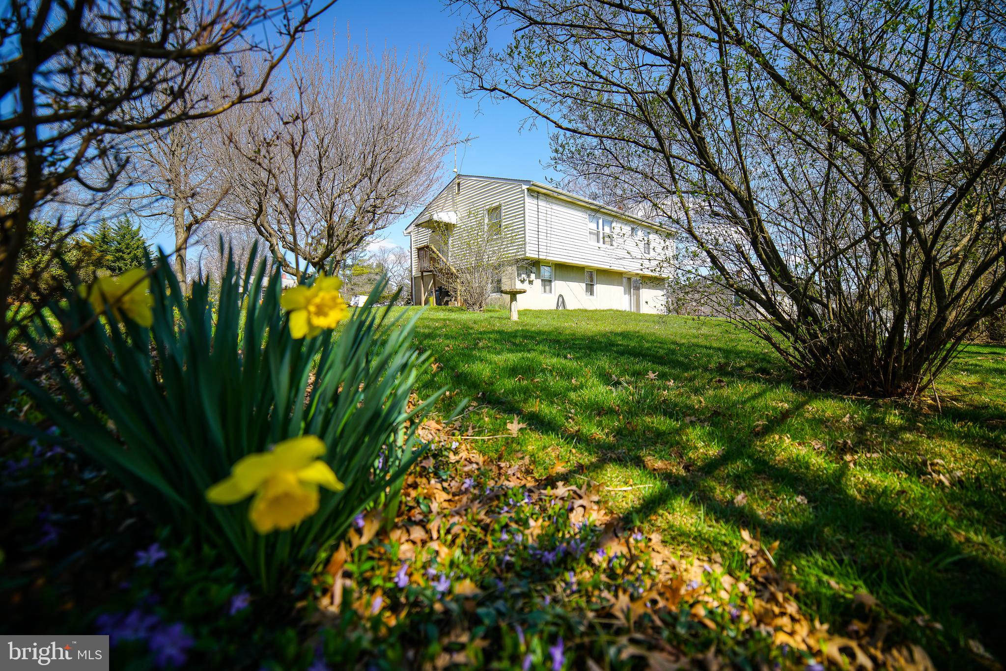 219 Northway Road Reisterstown, MD 21136 - Photo 10 of 47 Spring has sprung
