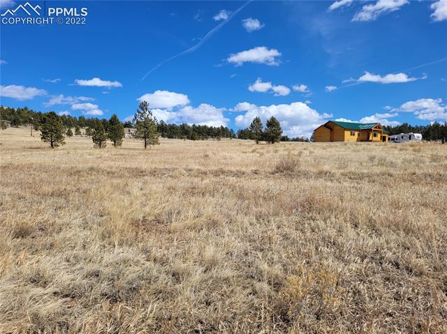 582 High Pasture Road Florissant, CO 80816 - Photo 10 of 16 Gallery Image 10