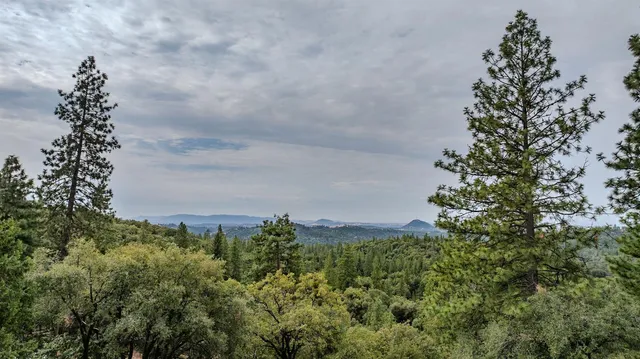 $425,000 | 13825 Pine View Drive, Pine Grove, CA 95665