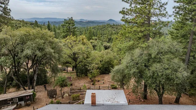 $425,000 | 13825 Pine View Drive, Pine Grove, CA 95665