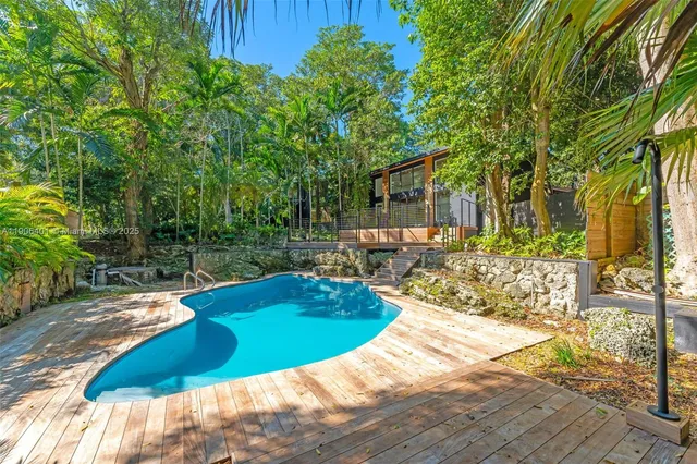 a park with large trees