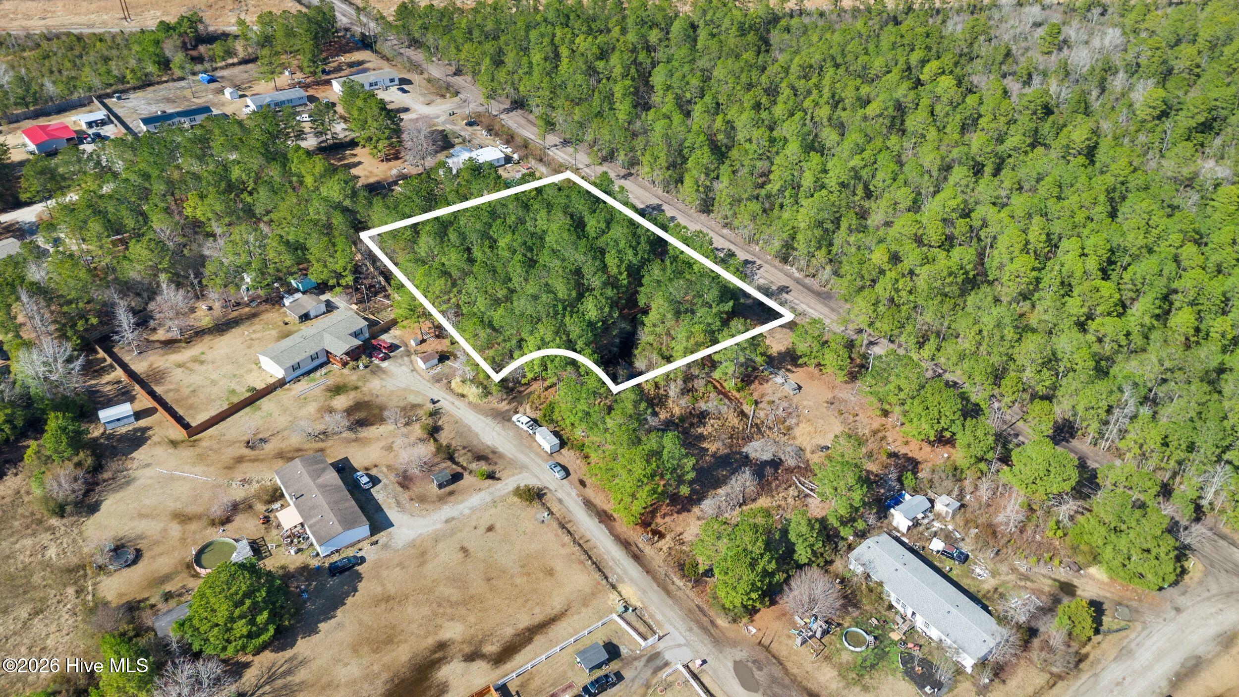 66 Tree Top Court Hampstead, NC 28443 - Photo 1 of 7 Aerial with Lines 1