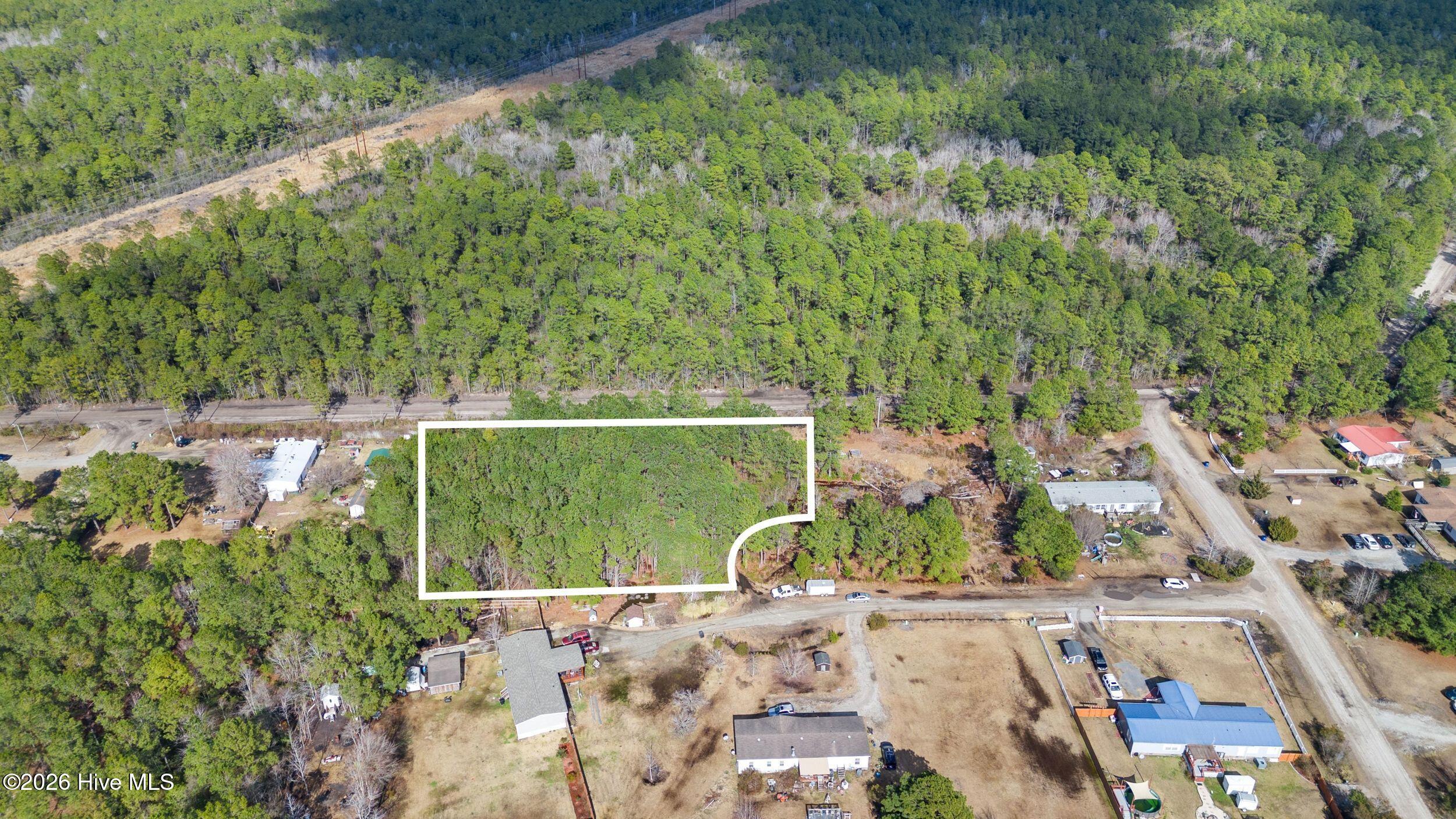 66 Tree Top Court Hampstead, NC 28443 - Photo 2 of 7 Aerial with Lines 2