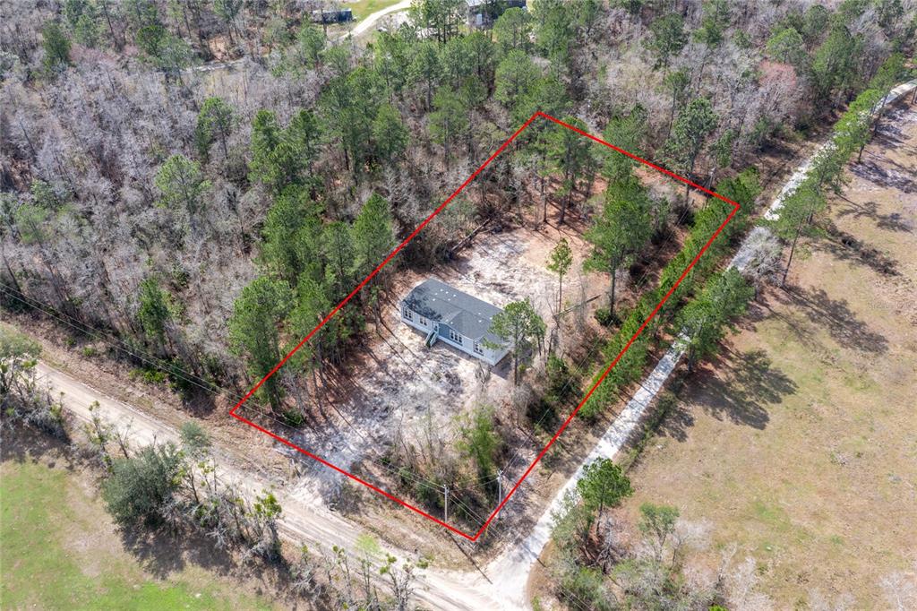 6671 Southwest 128th Lane Lake Butler, FL 32054 - Photo 62 of 66 a view of a yard with plants