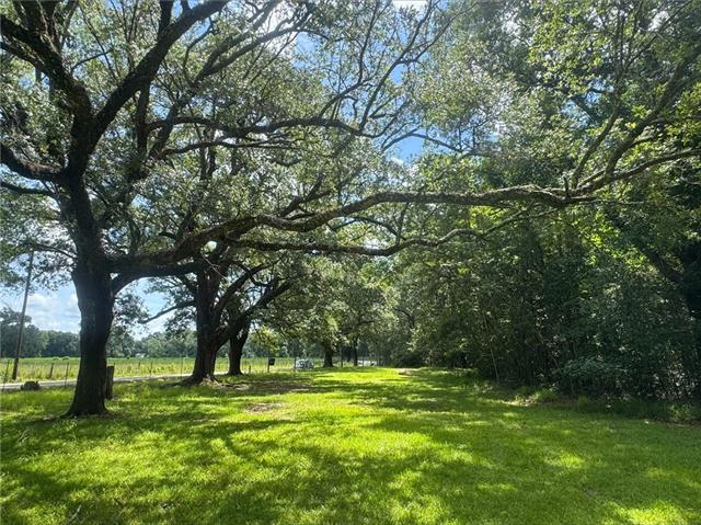 0 Cowart Road Bush, LA 70431 - Photo 3 of 10