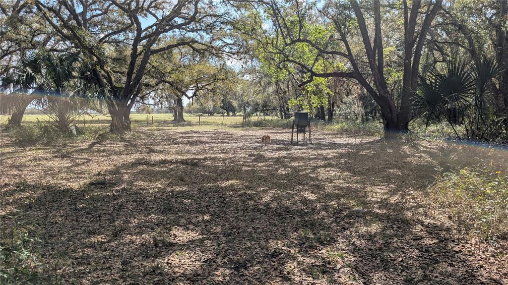 Gillette Road Zolfo Springs, FL 33890 - Photo 38 of 86 Gallery Image 38