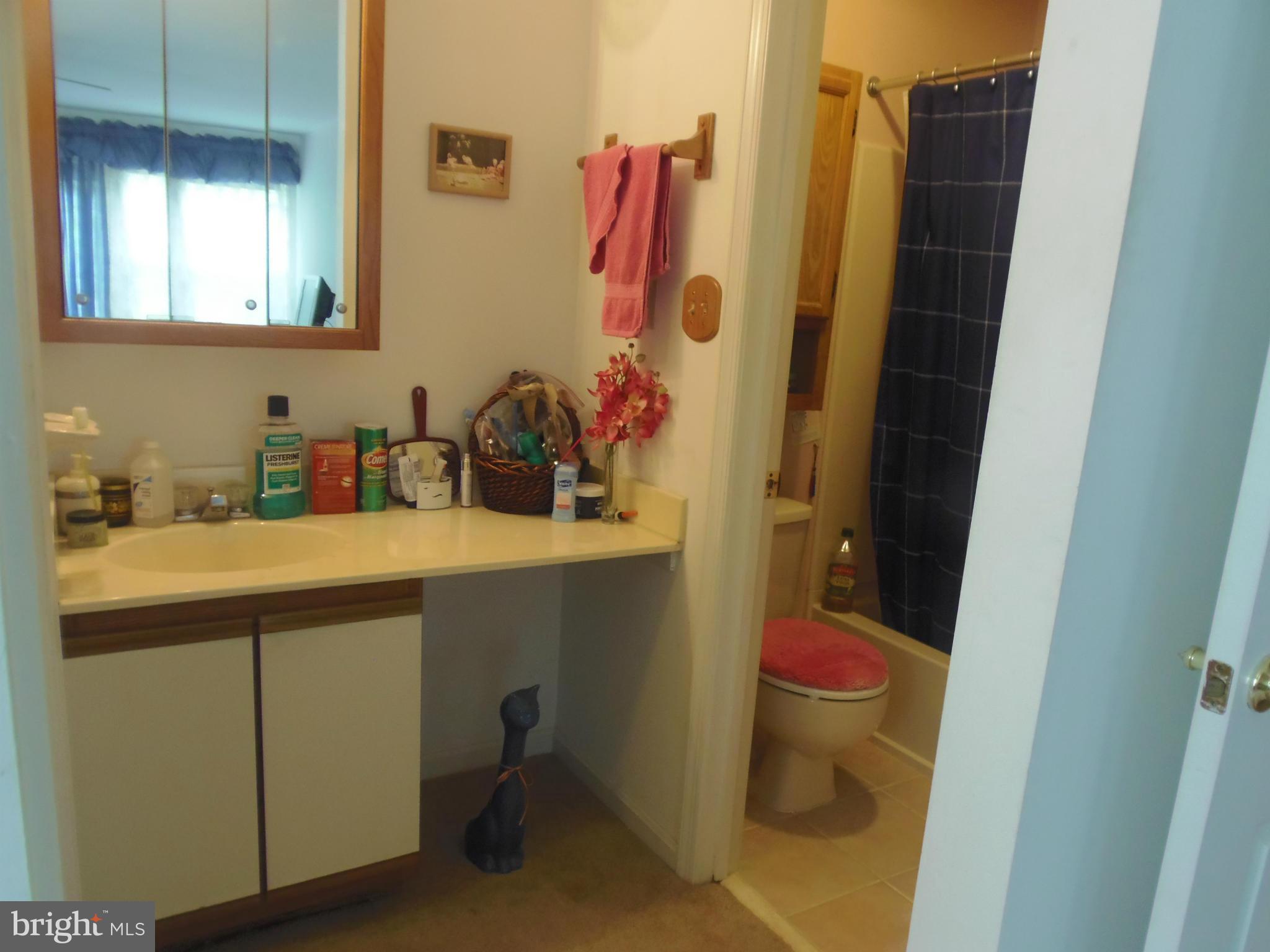 8348 Montgomery Run Road, Unit G Ellicott City, MD 21043 - Photo 9 of 25 Bath (Master)