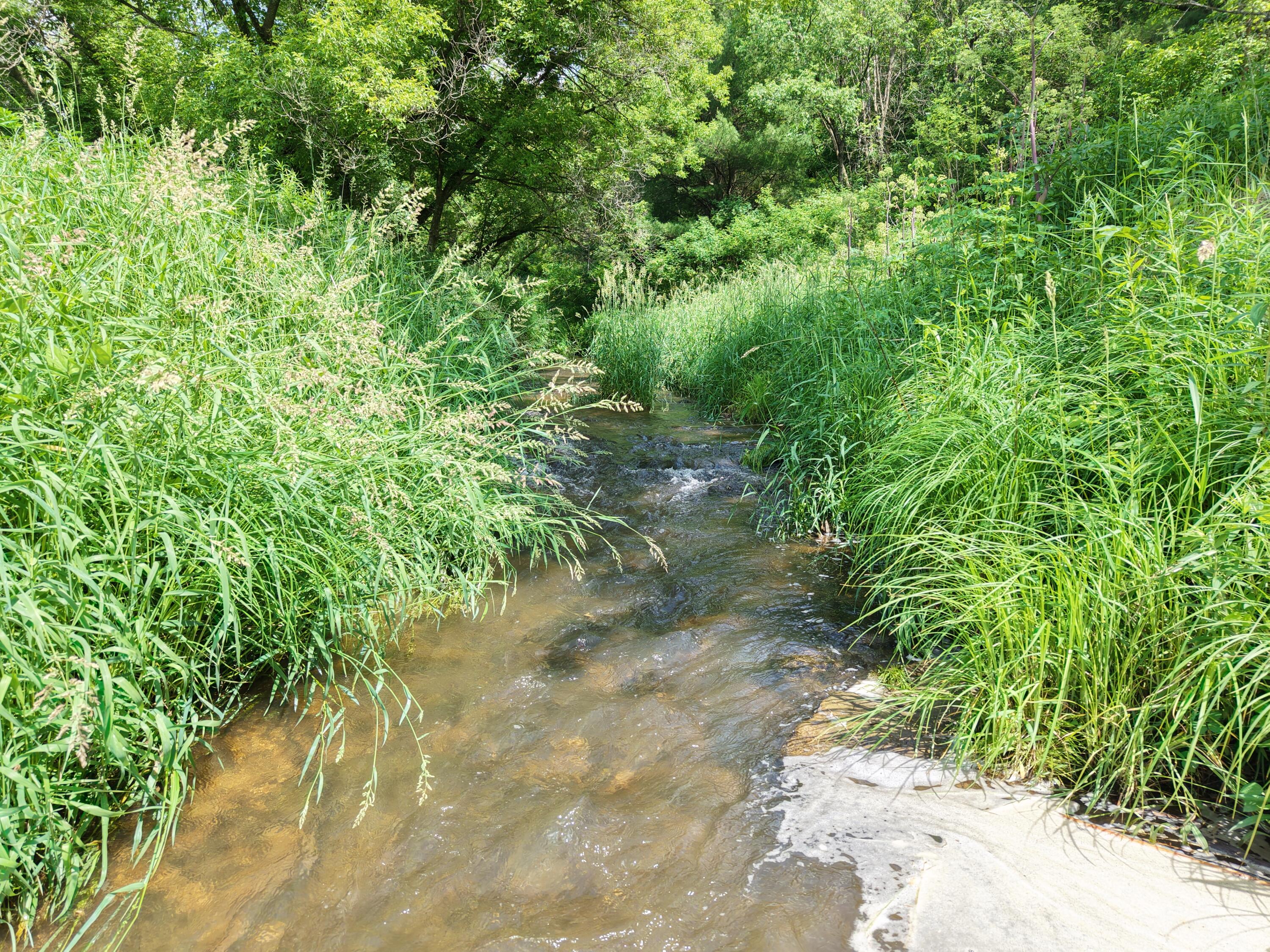 DJI_20260609150026_0826_D