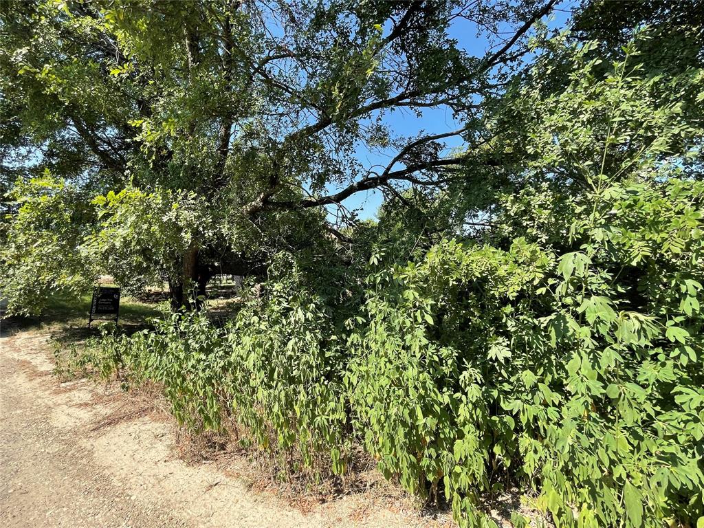 Tbd Ruby Avenue Midlothian, TX 76065 - Photo 2 of 6