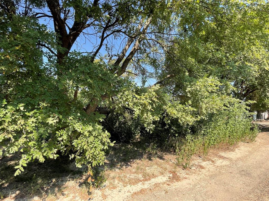 Tbd Ruby Avenue Midlothian, TX 76065 - Photo 4 of 6