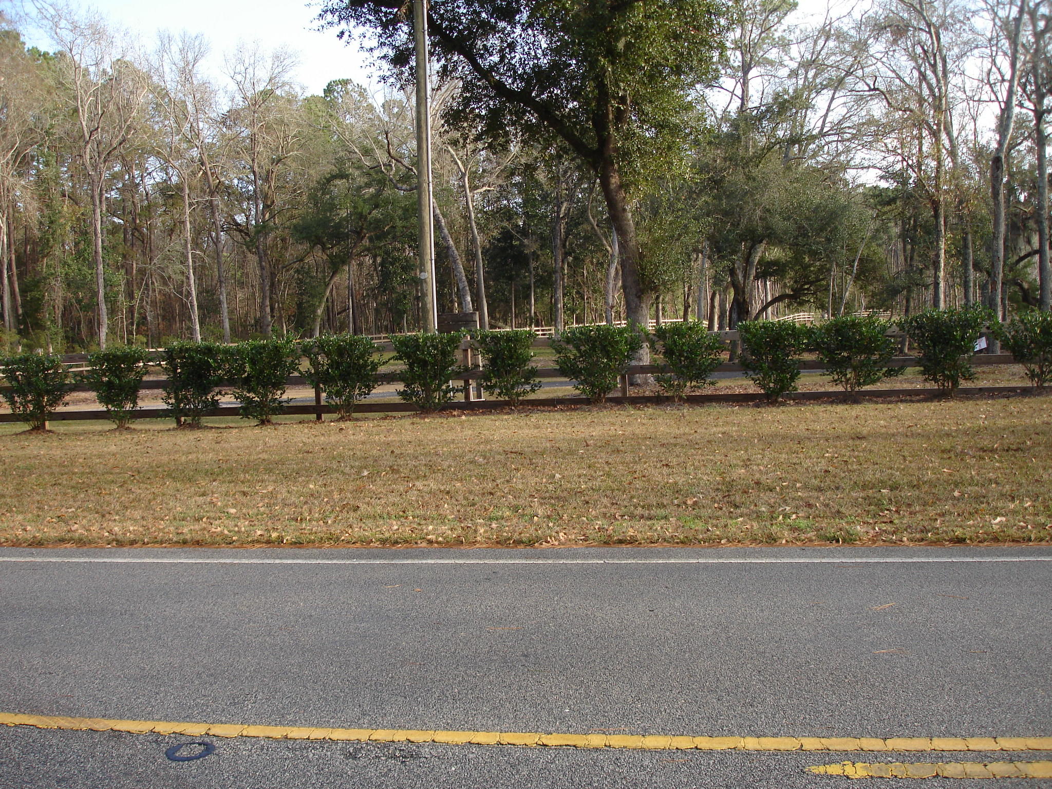 5439 Chaplins Landing Road Hollywood, SC 29449 - Photo 8 of 53 5439 Chaplins Landing NEW (2)